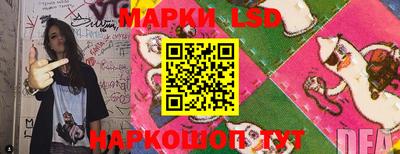 ПСИЛОЦИБИНОВЫЕ ГРИБЫ Заволжье