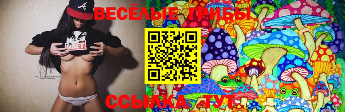 Псилоцибиновые грибы Cubensis Лосино-Петровский